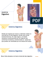 Fisiologia 7