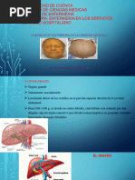 Cirrosis Hepatica