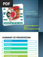 PP16 Receptors The Eye 1460381342