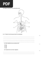 Grade 10 Biology Final Exam Revision Sheet