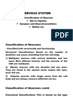 Classification of Neurone and Nerve Impulse