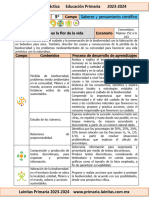 5to Grado Junio - 04 Mi Vuelo Es La Flor de La Vida (2023-2024)