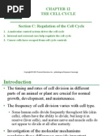 The Cell Cycle Section C: Regulation of The Cell Cycle