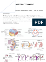 Tumor de Wilms Pt1