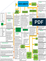 Mapa Conceptual Medio Ambiente