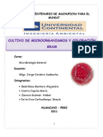 Micro Informe 2