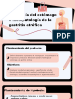 Histologia Del Estomago