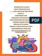 Cardiopatias Infografia