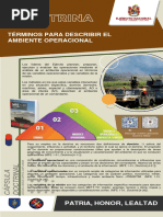 01 Terminos para Describir Ambiente Operacional