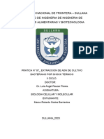 Practica Exttraccion de Adn de Cultivo Bacteriano Por Shock Termico