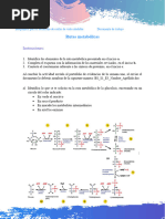 Rutas Metabolicas A