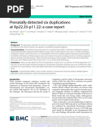 Prenatally Detected Six Duplications at Xp22.33-p11.22: A Case Report