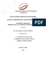 Problematica en La Cimentaciones Profundas