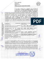 PDF Documento