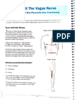 Vagus Nerve Recovery Manual 2