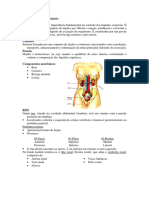 Aparelho Urogenital