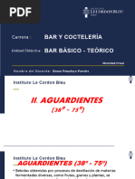 BAR BASICO - Presentacion - Bebidas Aguardientes