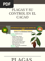 Plagas y Su Control en El Cacao