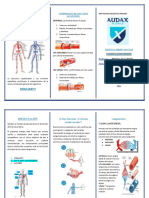 TRIPTICO Sistema Cardiovascular - Vasos Sanguineos