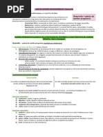 NIÑEZ UBA Psicología Evolutiva - Cátedra I Pizzo - RESUMEN PRÁCTICOS