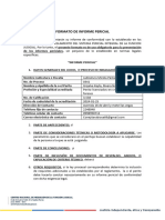 Formato de Informe Pericial