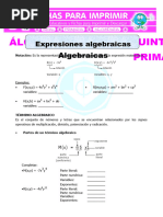 Expresiones Algebraicas para Quinto de Primaria