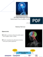 Sistema Nervoso Central