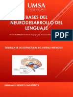 Bases Del Neurodesarrollo Del Lenguaje