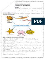 Ciencia - Los Invertebrados