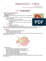 Caderno Anatopato II - 3 Bim