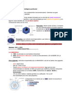 Virus-Un Modelo Biológico Particular