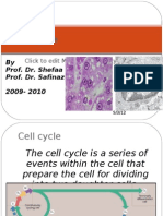 Cell Cycle and Its Regulation