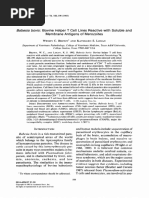 Babesia Bovis Bovine Helper T Cell Lines Reactive