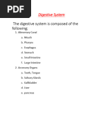 Digestive System