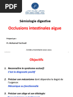 Occlusions Intestinales FMPA