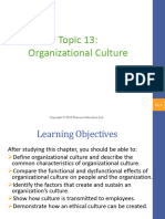 Topic 13 - Organizational Culture