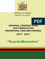 TB Strategic Plan (2017-2021) - Final