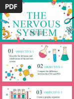 NERVOUS SYSTEM Parts and Functions