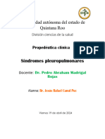 SX Pleuropulmonares - Canul Puc