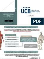 Sistema Nervoso Aula