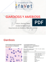 Giardiosis Y Amebiosis