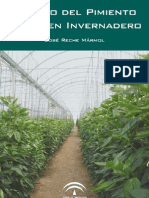 Cultivo Pimiento Invernadero