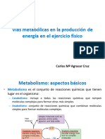 10 Metabolismo y Producción de Energía