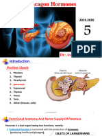 5 - Insulin & Glucagon Hormones