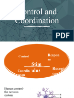 Control and Coordination