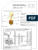 Avaliação Sistema Digestório 2024 - ADAPTADA