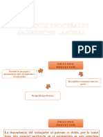 Principios Procesales Del Derecho Laboral