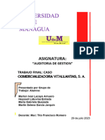 Auditoria de Gestion