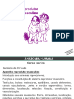 Aula Ap Sexual Masculino2023-24