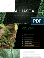 Brochure Ayahuasca 